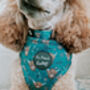 Happy Highland Cow Dog Harness, thumbnail 12 of 12