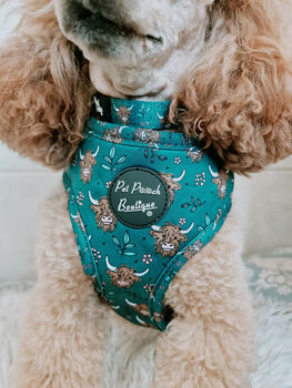 Happy Highland Cow Dog Harness, 12 of 12