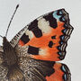 Small Tortoiseshell Illustrated Butterfly Print, thumbnail 2 of 5