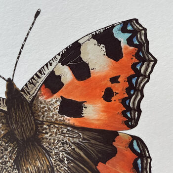 Small Tortoiseshell Illustrated Butterfly Print, 2 of 5