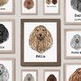 Personalised Afghan Hound Portrait Print For Dog Owner, thumbnail 1 of 10
