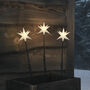 Set Of Three Outdoor Christmas 3D Starburst Stake Lights Battery LED With Timer, thumbnail 1 of 2