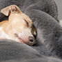 Charley Chau Faux Fur Dog Blanket In Russian Blue, thumbnail 4 of 5