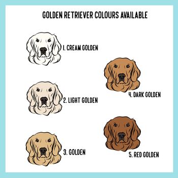 Golden Retriever Adult T Shirt, 6 of 6