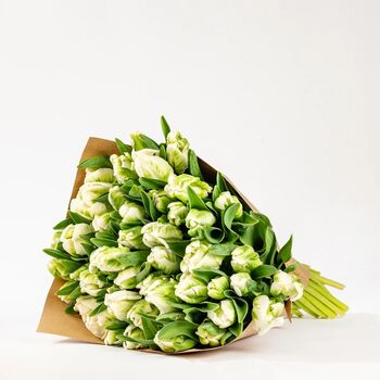 Green And White Parrot Tulips Fresh Flower Bouquet, 2 of 3
