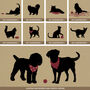 Personalised Cat And Dog Breed Print For Two Pets, thumbnail 12 of 12