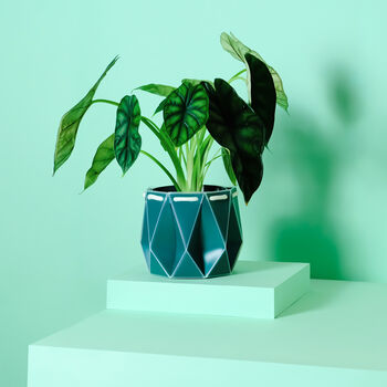 Origami Self Watering Eco Plant Pot: 15cm | Dark Teal, 10 of 10