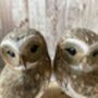 Pair Hand Painted Lovers Friends Wooden Owls Balinese Craft Ornament Figurine Gift, thumbnail 2 of 9