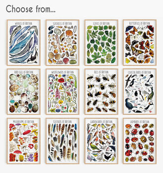 Set Of Nine British Wildlife Art Prints, 2 of 12