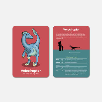 Learn Dinosaur Activity Flashcards, 4 of 8