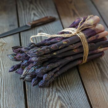 Asparagus Plants 'Burgundine' One X Two Litre Pot, 2 of 5