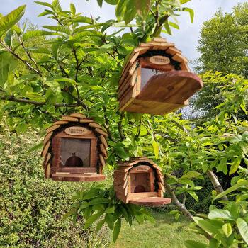 Three Wooden Hanging Wiley Squirrel Feeders, 2 of 10