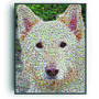 Personalised Gift For Pet Lovers, thumbnail 4 of 7