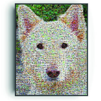 Personalised Gift For Pet Lovers, 4 of 7