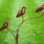 Brown Butterfly Garden Spinner Stake – Metal Finish, thumbnail 2 of 4