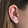 Ultimate Cartilage Earring Gift Set, thumbnail 3 of 6