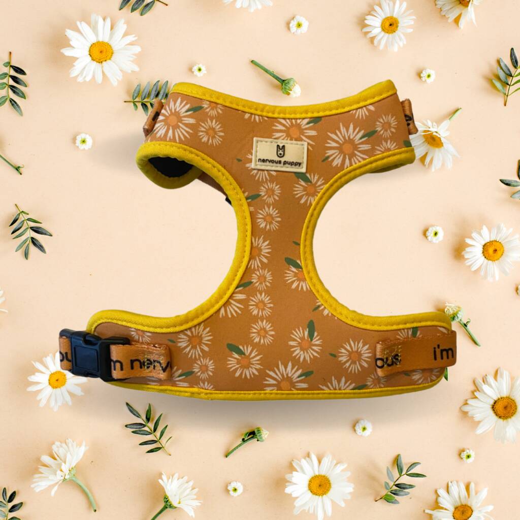 Nervous Dog Adjustable Harness, Wallflower By nervous puppy