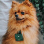 Suede Dog Ring Bearer Pouch, thumbnail 1 of 6