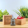 Hip Hippo Ray Tiny Little Gifts, thumbnail 2 of 3
