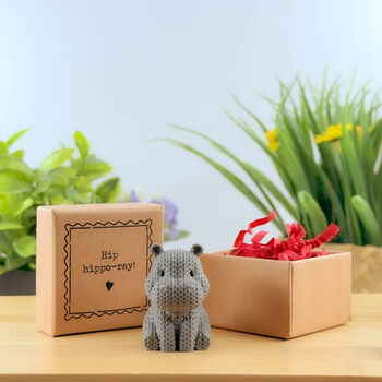 Hip Hippo Ray Tiny Little Gifts, 2 of 3