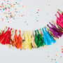 Rainbow Multi Coloured Party Decoration Tassel Garland, thumbnail 1 of 3