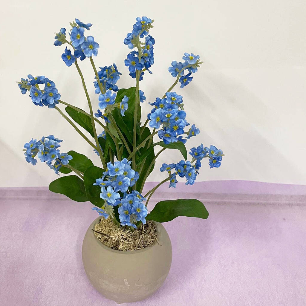 Faux Forget Me Nots Potted Plant, 1 of 2
