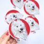 Personalised Pet Stickers, thumbnail 12 of 12