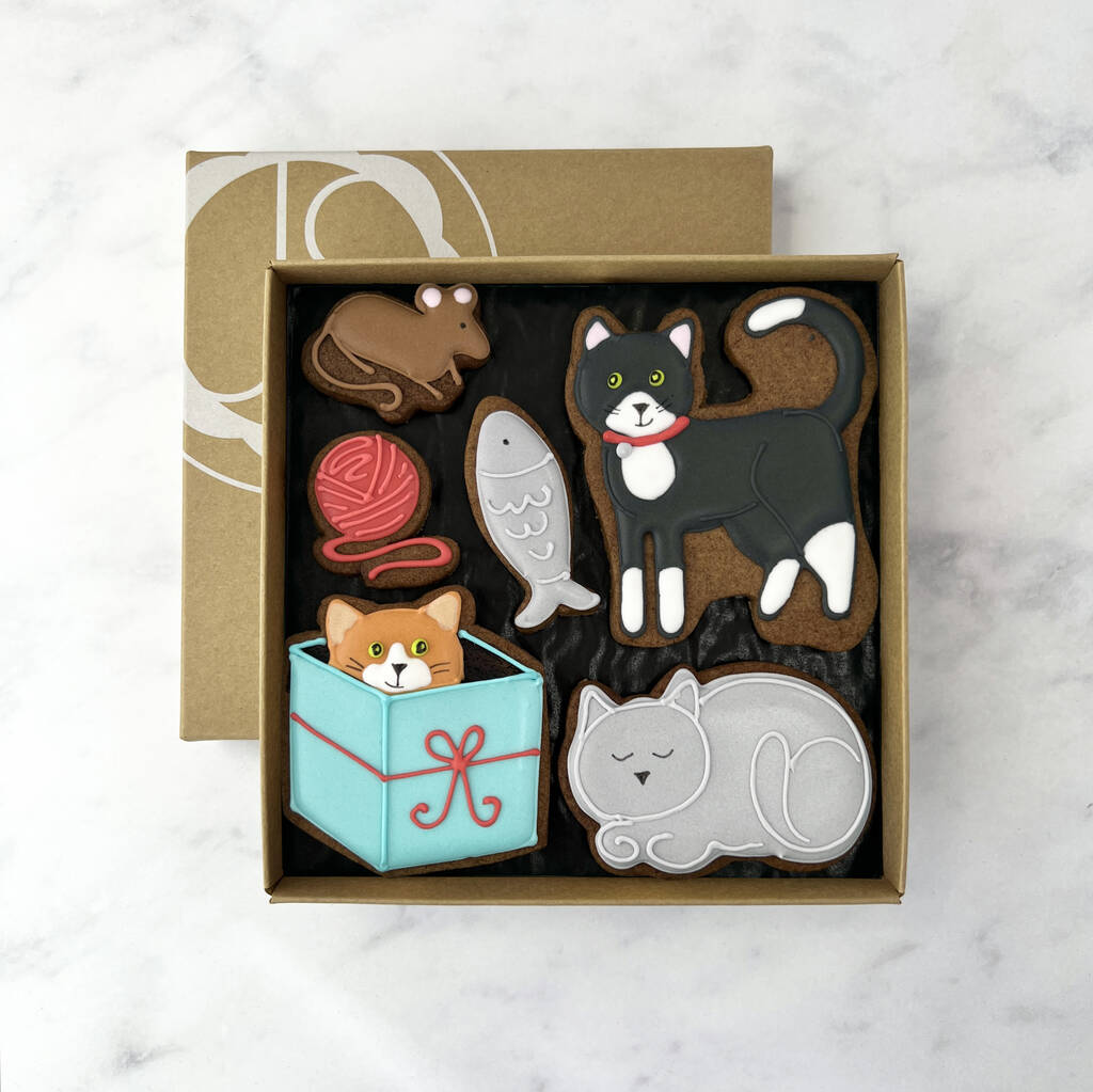 Cat Lover Iced Biscuit Gift Box By Juliet Stallwood Cakes and Biscuits
