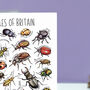 Beetles Of Britain Greeting Card, thumbnail 5 of 7