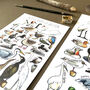 Water Birds Of Britain Watercolour Postcard, thumbnail 11 of 12