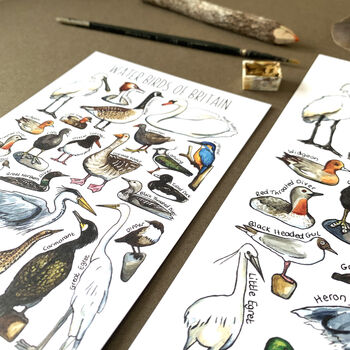 Water Birds Of Britain Watercolour Postcard, 11 of 12