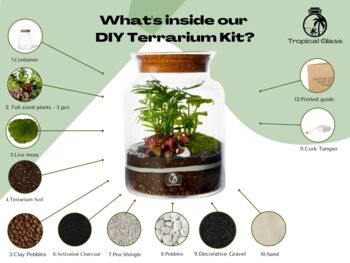 Diy Corked Jar Terrarium Kit | 'Mallorca', 3 of 11