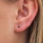 Sterling Silver Black Freshwater Pearl Micro Stud Earrings, thumbnail 1 of 6
