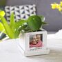 Mini Cube Photo Plant Pot For Grandma, thumbnail 1 of 8