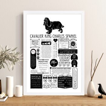 Personalised Cavalier King Charles Dog Fact Print, 6 of 7