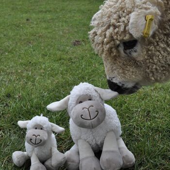 Sheep Mummy, Baby Lamb Soft Plush Toy Set, 2 of 8