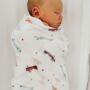 Classic Planes Swaddle Blanket, thumbnail 1 of 2