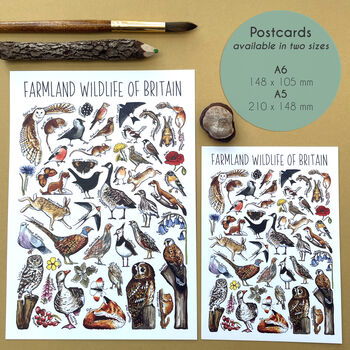 Farmland Wildlife Of Britain Watercolour Postcard, 2 of 12