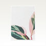 Pink Leaves Ii Photographic Plant Print, thumbnail 2 of 2