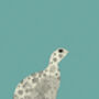 Red Grouse Bird Turquoise Card, thumbnail 2 of 2