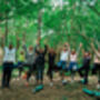 Yoga And Forest Bathing Day Retreat Near Brighton For Two, thumbnail 4 of 10