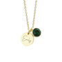 Personalised Gold Plated Birth Crystal Disc Necklace, thumbnail 12 of 12
