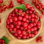 Redcurrant Plants, 'Red Lake', thumbnail 5 of 5