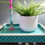 Scallop Bone Inlay Tray | Turquoise, thumbnail 4 of 5