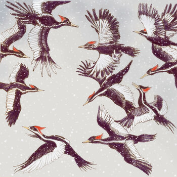 'Christmas In Flight' Mixed Pack Of 10 Cards, 4 of 10