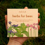 Grow Your Own Herbs For Bees, thumbnail 1 of 7