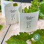 Grow Your Own Prosecco Style Sparkling Wine Gift Crate, thumbnail 4 of 11