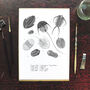 Trilobite Fossil Art Print, thumbnail 2 of 8