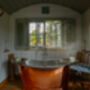 Dimpsey Shepherd Hut Writer’s Retreat With Outdoor Bath, thumbnail 5 of 12
