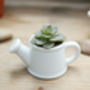 Watering Can Shaped Mini Planter, thumbnail 3 of 6